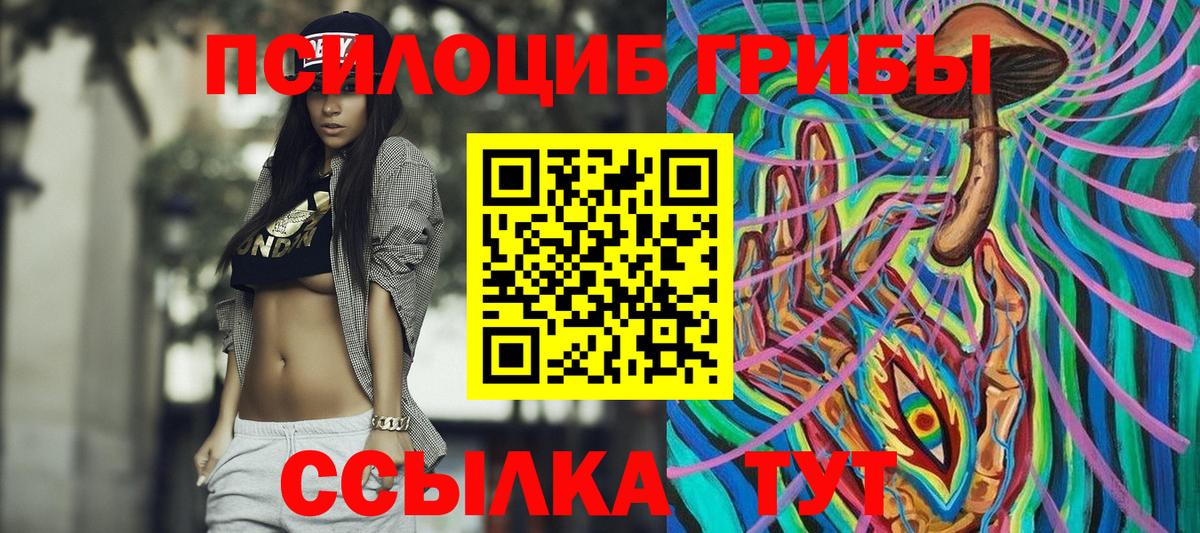 Псилоцибиновые грибы GOLDEN TEACHER Урус-Мартан